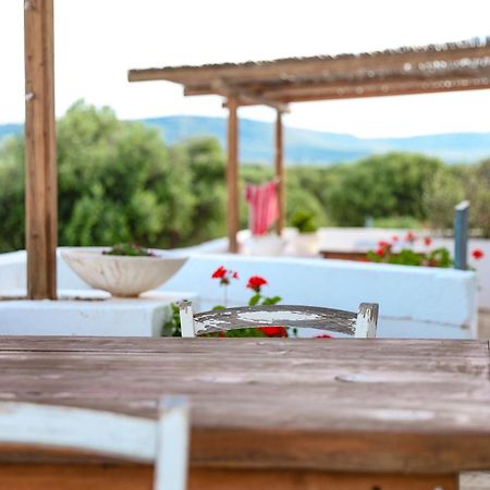 Masseria Piccole Taverne Rosa Marina Zewnętrze zdjęcie