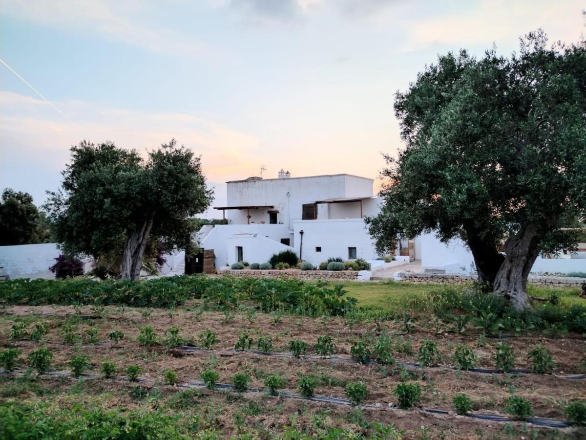 Masseria Piccole Taverne Rosa Marina Zewnętrze zdjęcie