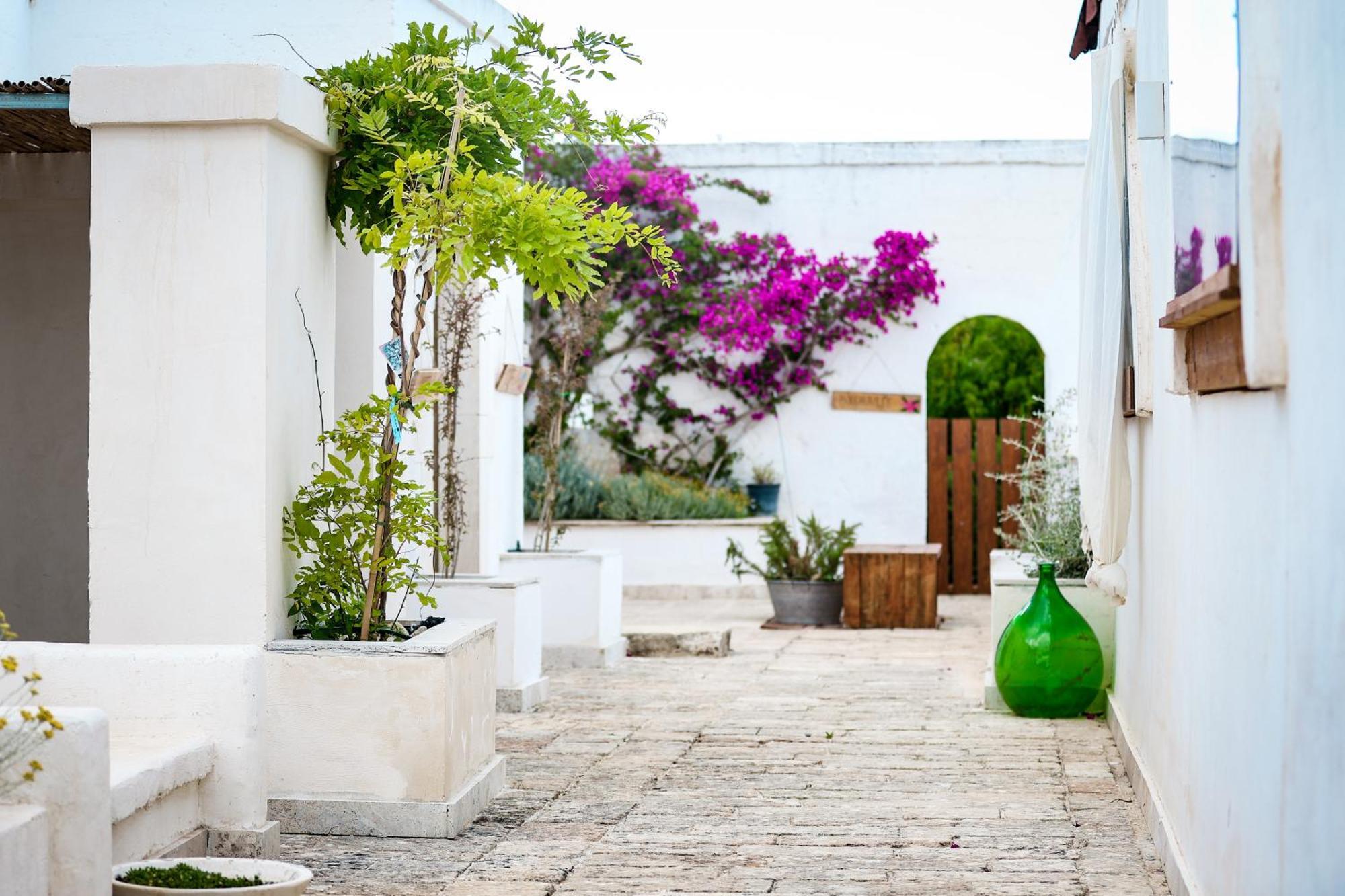Masseria Piccole Taverne Rosa Marina Zewnętrze zdjęcie