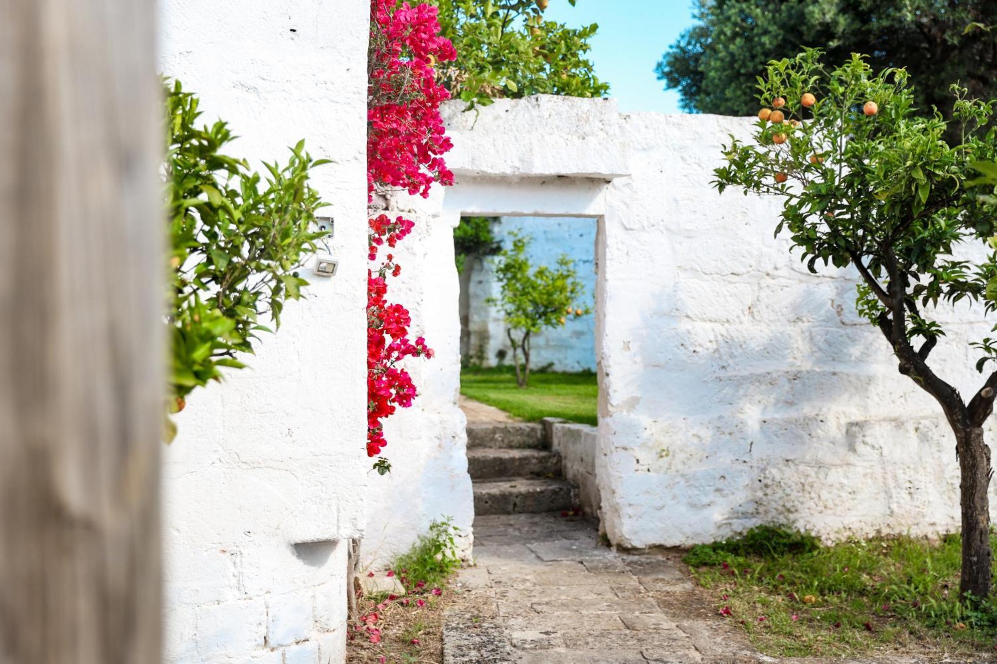 Masseria Piccole Taverne Rosa Marina Zewnętrze zdjęcie
