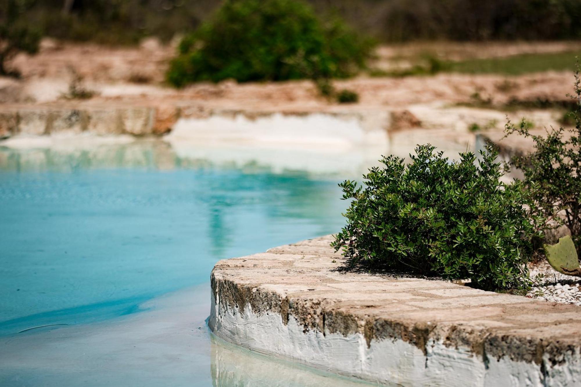 Masseria Piccole Taverne Rosa Marina Zewnętrze zdjęcie