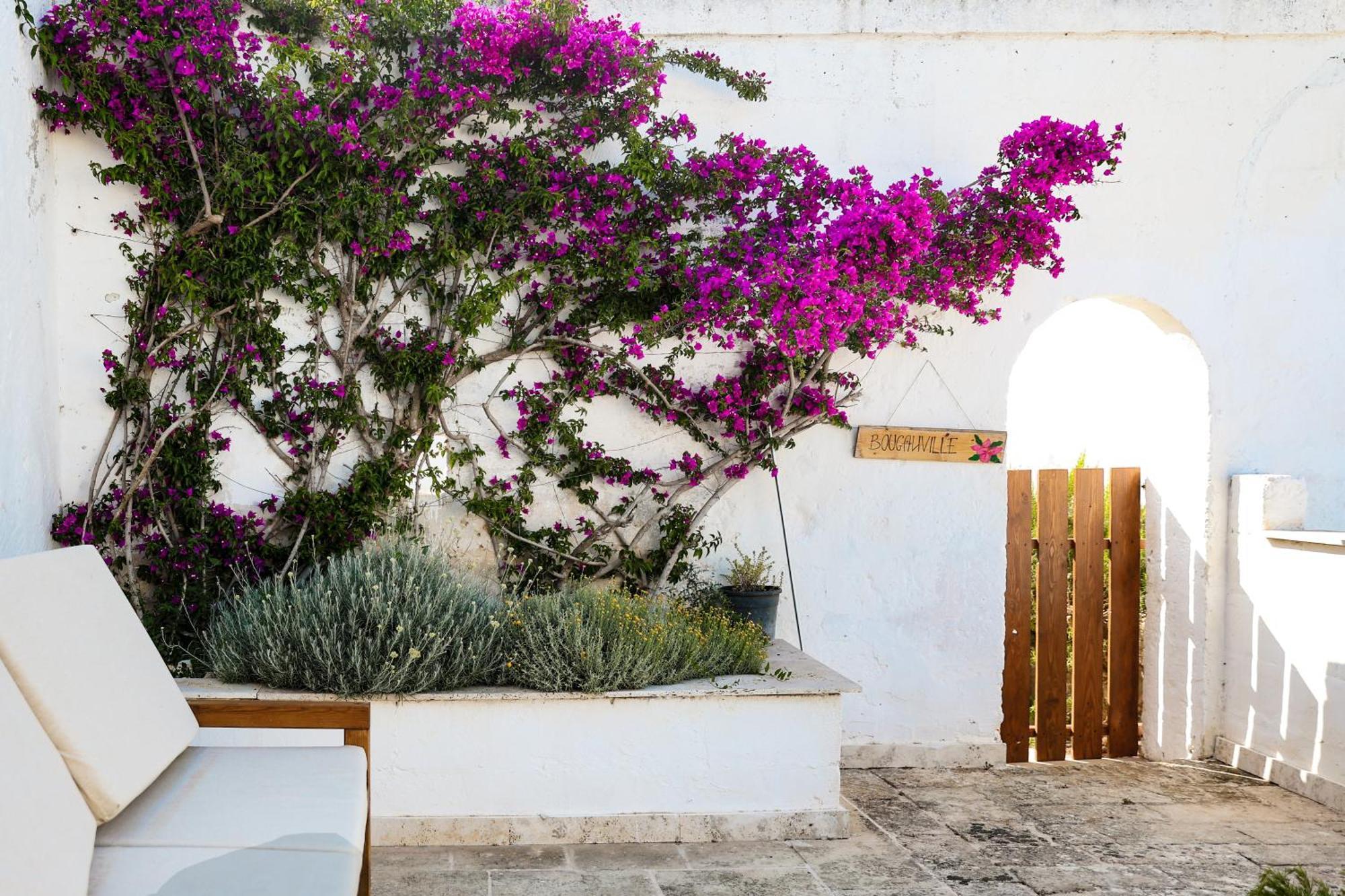 Masseria Piccole Taverne Rosa Marina Zewnętrze zdjęcie