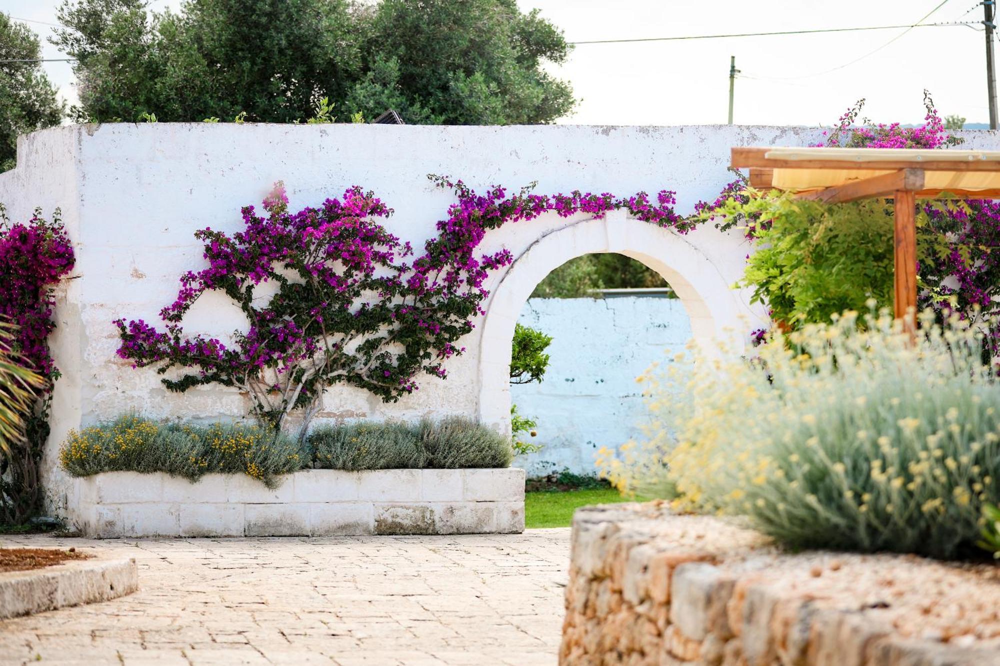 Masseria Piccole Taverne Rosa Marina Zewnętrze zdjęcie