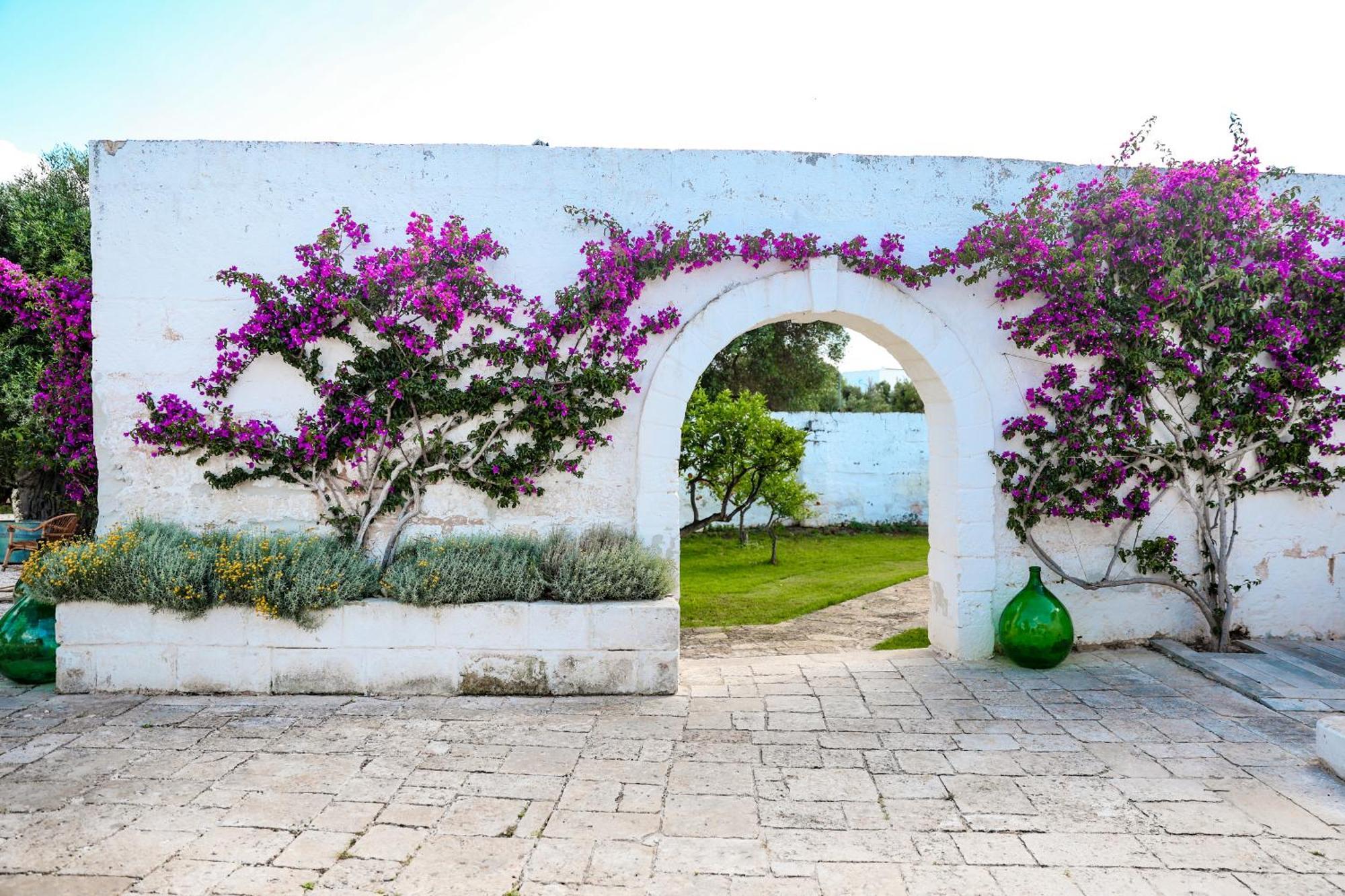 Masseria Piccole Taverne Rosa Marina Zewnętrze zdjęcie